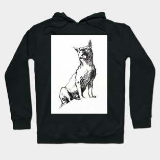 Dingo - ink drawing Hoodie